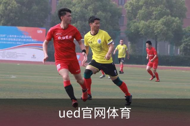 ued官网体育公司简介图片